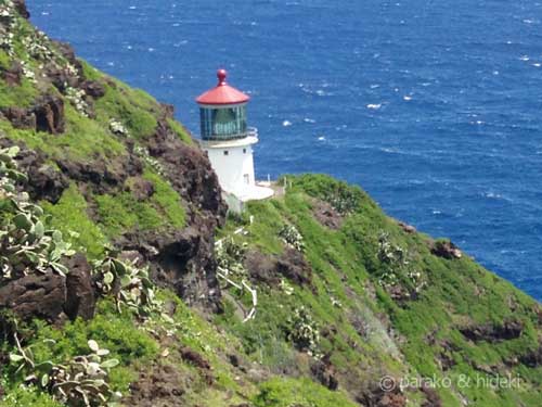 ［ハワイ］マカプウ岬トレイルは初心者にもおすすめの絶景コース！行き方と注意点
