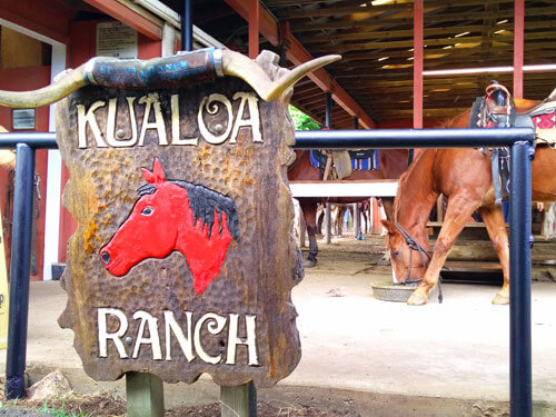 ハワイのクアロアランチ（クアロア牧場 ）でジュラシックパーク体験ツアー！＜乗馬・バギー・映画ロケ地＞