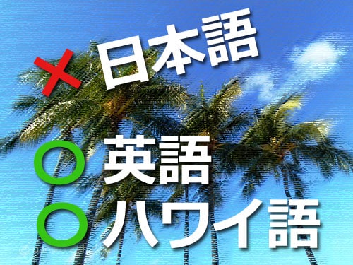 ハワイは英語が話せなくても大丈夫はウソ！日本語が通じないなら対策はコレ！