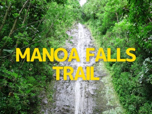 マノアの滝トレイル（ハワイ）