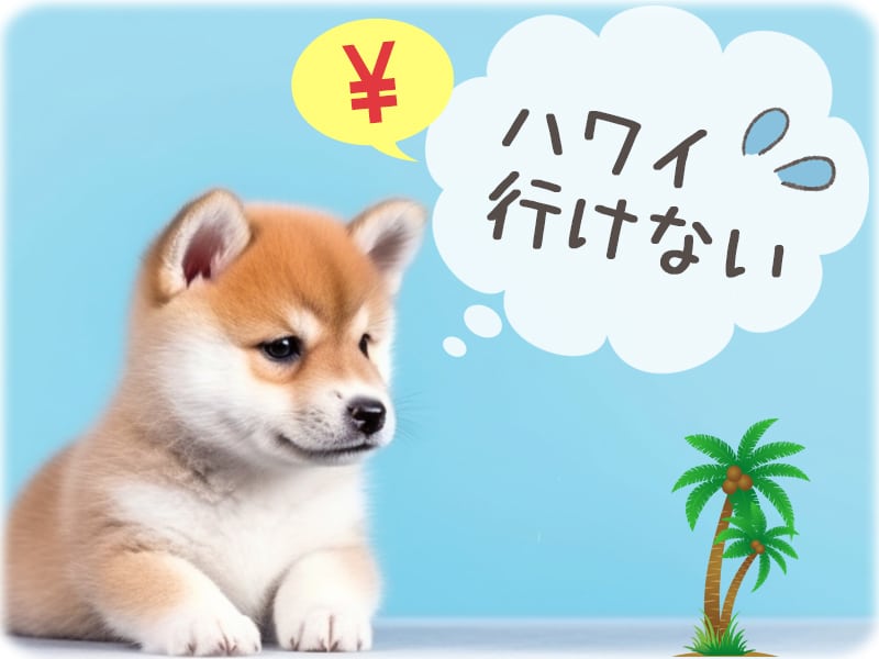 ハワイ行けない